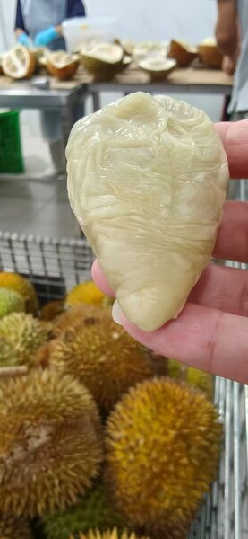 榴莲处理